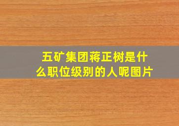 五矿集团蒋正树是什么职位级别的人呢图片