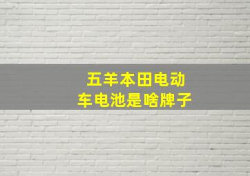 五羊本田电动车电池是啥牌子