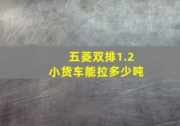 五菱双排1.2小货车能拉多少吨