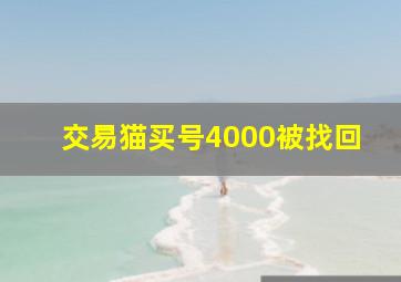 交易猫买号4000被找回