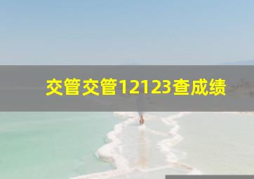 交管交管12123查成绩