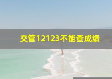 交管12123不能查成绩