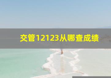 交管12123从哪查成绩