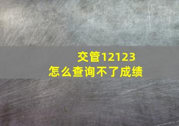 交管12123怎么查询不了成绩