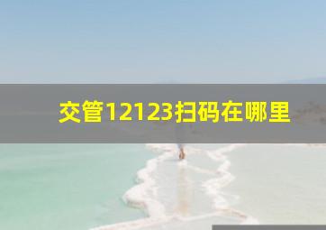 交管12123扫码在哪里