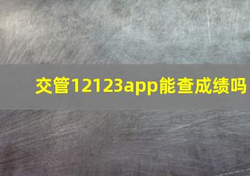 交管12123app能查成绩吗