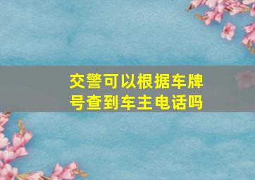 交警可以根据车牌号查到车主电话吗