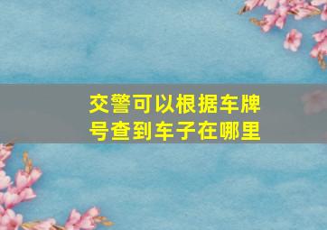 交警可以根据车牌号查到车子在哪里