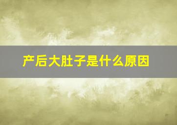 产后大肚子是什么原因