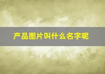 产品图片叫什么名字呢