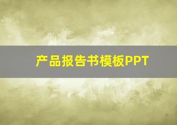 产品报告书模板PPT