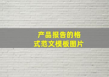 产品报告的格式范文模板图片