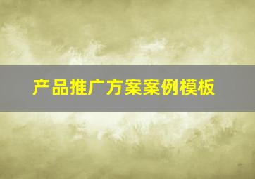 产品推广方案案例模板