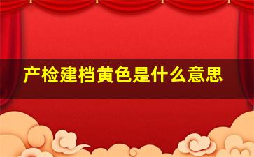 产检建档黄色是什么意思