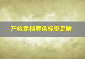 产检建档黄色标签是啥