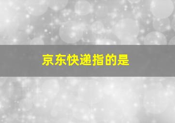 京东快递指的是