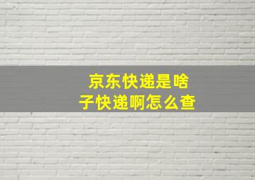 京东快递是啥子快递啊怎么查