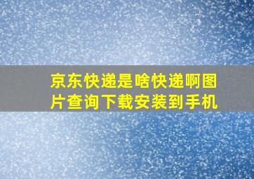 京东快递是啥快递啊图片查询下载安装到手机