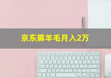 京东薅羊毛月入2万