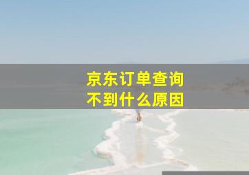 京东订单查询不到什么原因