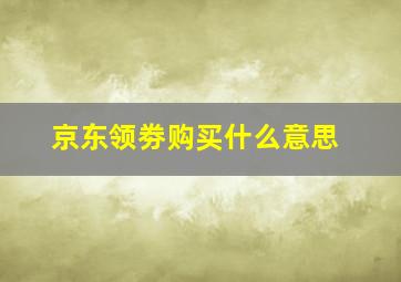 京东领劵购买什么意思