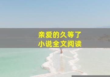 亲爱的久等了小说全文阅读