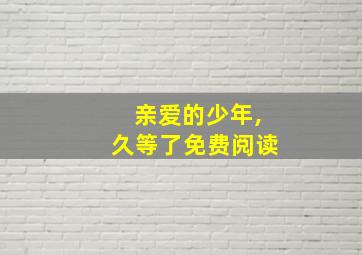 亲爱的少年,久等了免费阅读