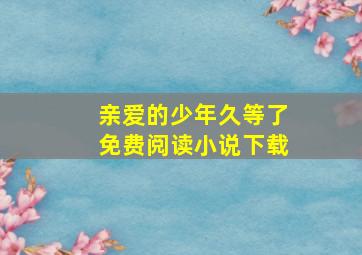 亲爱的少年久等了免费阅读小说下载