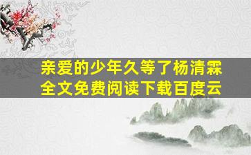 亲爱的少年久等了杨清霖全文免费阅读下载百度云