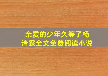 亲爱的少年久等了杨清霖全文免费阅读小说