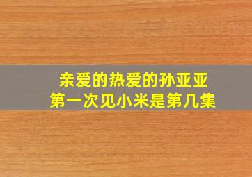 亲爱的热爱的孙亚亚第一次见小米是第几集