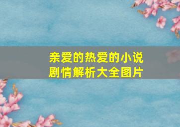 亲爱的热爱的小说剧情解析大全图片