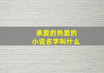 亲爱的热爱的小说名字叫什么