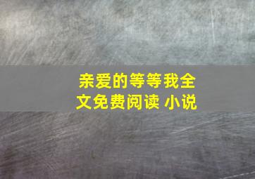 亲爱的等等我全文免费阅读 小说