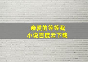 亲爱的等等我小说百度云下载