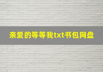 亲爱的等等我txt书包网盘