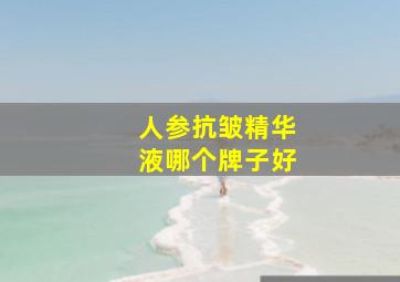 人参抗皱精华液哪个牌子好