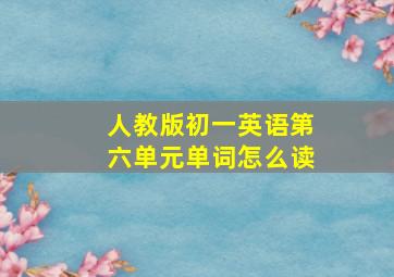 人教版初一英语第六单元单词怎么读