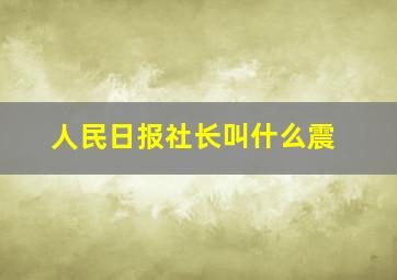 人民日报社长叫什么震