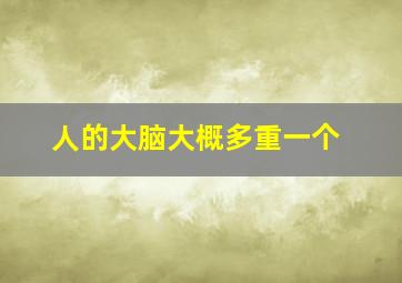 人的大脑大概多重一个