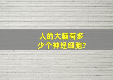 人的大脑有多少个神经细胞?