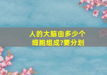 人的大脑由多少个细胞组成?要分划