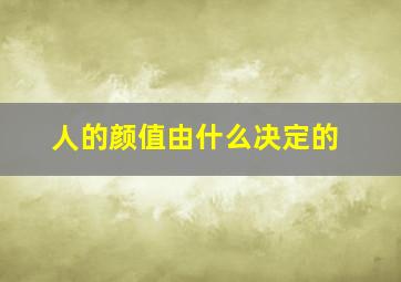 人的颜值由什么决定的