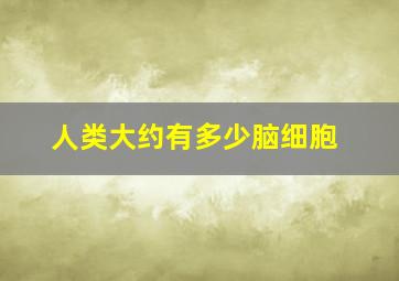 人类大约有多少脑细胞