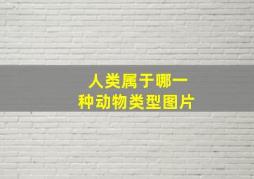 人类属于哪一种动物类型图片