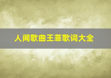 人间歌曲王菲歌词大全