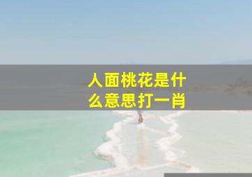 人面桃花是什么意思打一肖