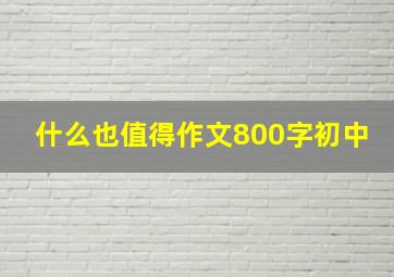 什么也值得作文800字初中