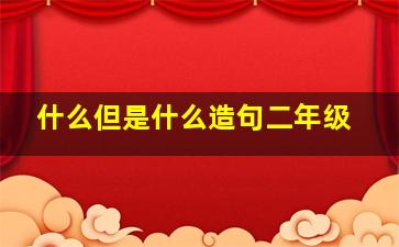 什么但是什么造句二年级