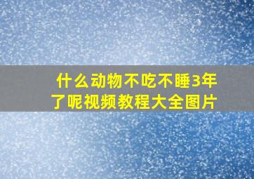 什么动物不吃不睡3年了呢视频教程大全图片